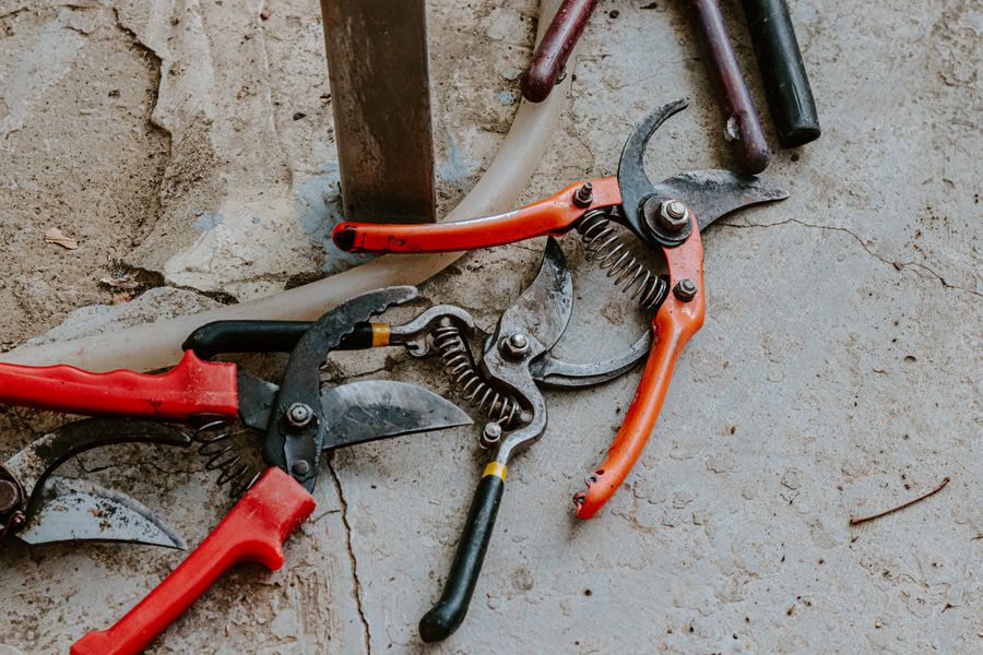 Garden pruning shears and hand tools resting on a concrete surface.